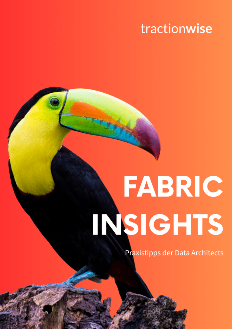 tractionwise Whitepaper Fabric Insights &raquo; tractionwise