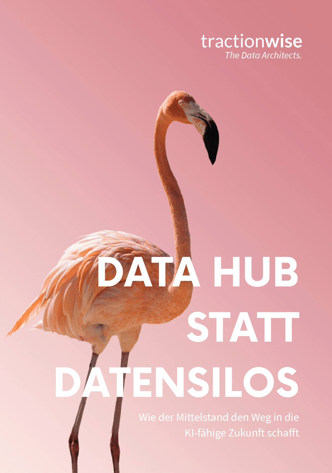Cover Whitepaper Data Hub statt Datensilos tractionwise &raquo; tractionwise