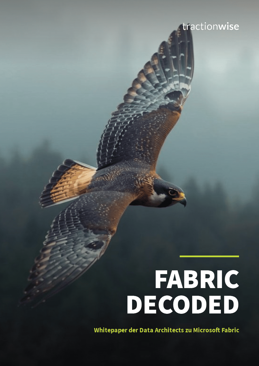 Cover Whitepaper Fabric Decoded tractionwise &raquo; tractionwise